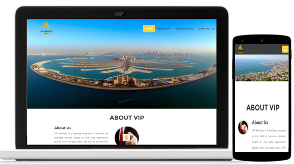 VIP Services